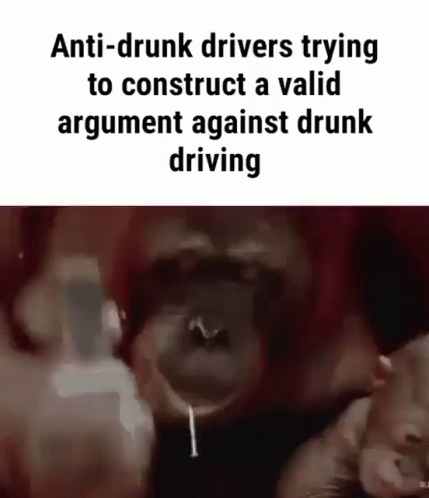 Monkey Drinking Wine