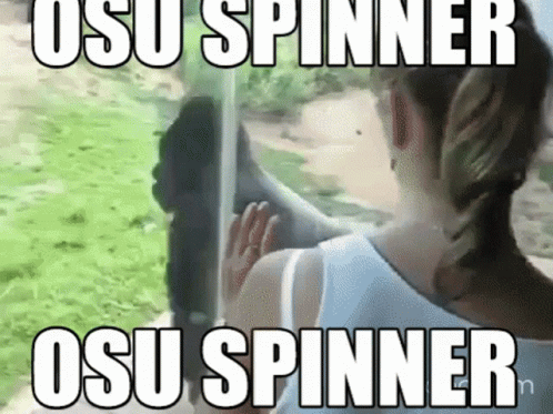 Monkey Entry In Osu Spinner Challenge GIF