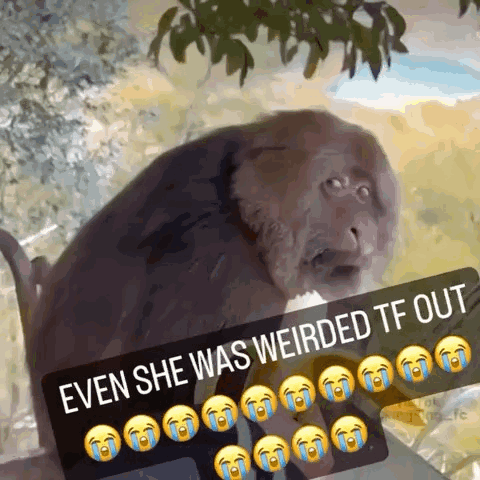 Monkey Even She Was Weirded TF Out