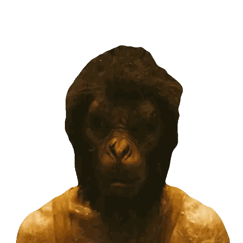 Monkey Face Close Up