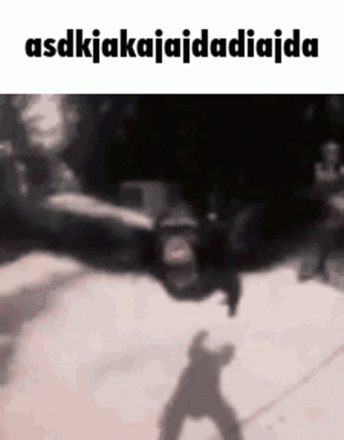 Monkey Flying Through Air GIF