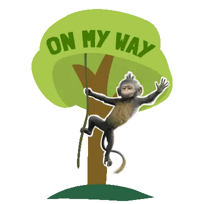 Monkey Hanging From Tree On My Way
