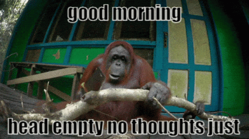 Monkey Holding Branch Saying Good Morning GIF
