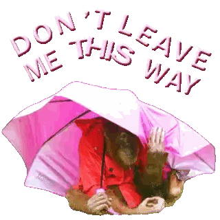 Monkey Holding Pink Umbrella Do Not Leave Me