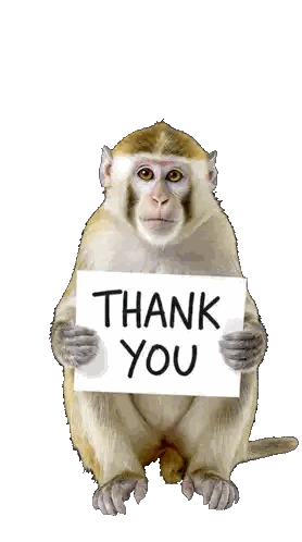 Monkey Holding Thank You Sign
