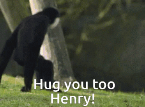 Monkey Hug You Too Henry Funny Hug GIF