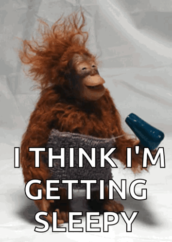 Monkey I Think Im Getting Sleepy Meme GIF