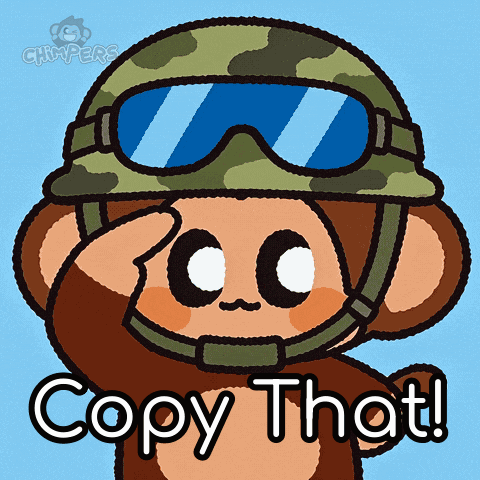 Monkey in Helmet and Goggles Saying Copy That