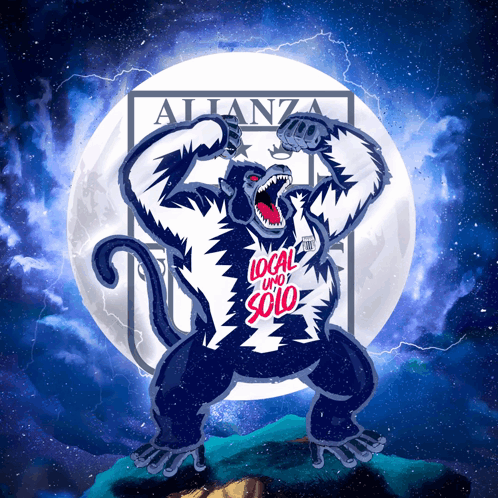 Monkey In Local And Solo Shirt GIF