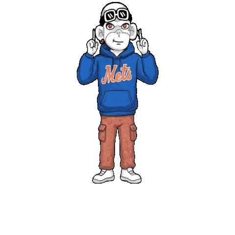 Monkey in Mets Sweatshirt