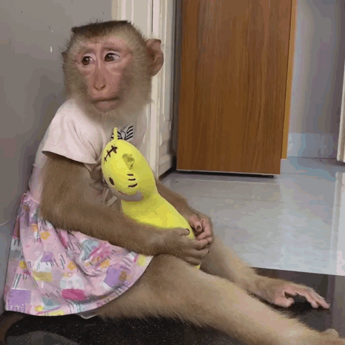 Monkey in Pink Dress Holding Yellow Stuffed Animal