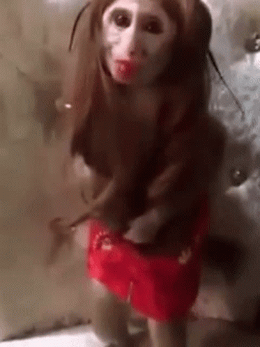 Monkey In Red Dress And Wig GIF
