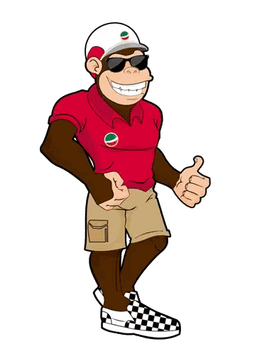 Monkey in Red Shirt Giving Thumbs Up