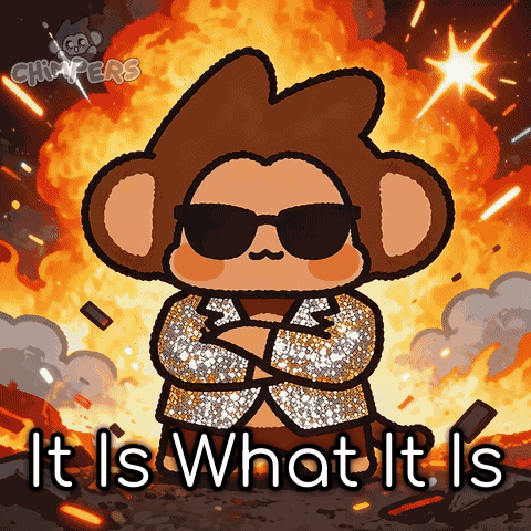 Monkey in Sunglasses and Jacket It Is What It Is