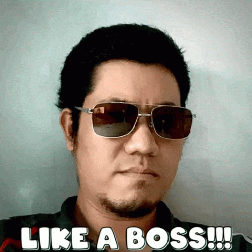 Monkey in Sunglasses and Jacket Saying Like a Boss
