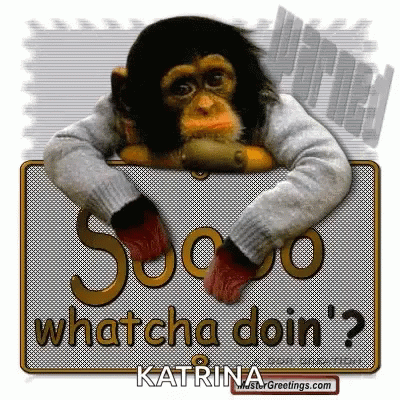 Monkey in Sweater Holding Sign Whatcha Doin
