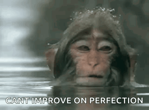 Monkey In Water Cant Improve On Perfection GIF
