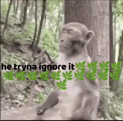 Monkey in Woods Saying He Tryna Ignore It