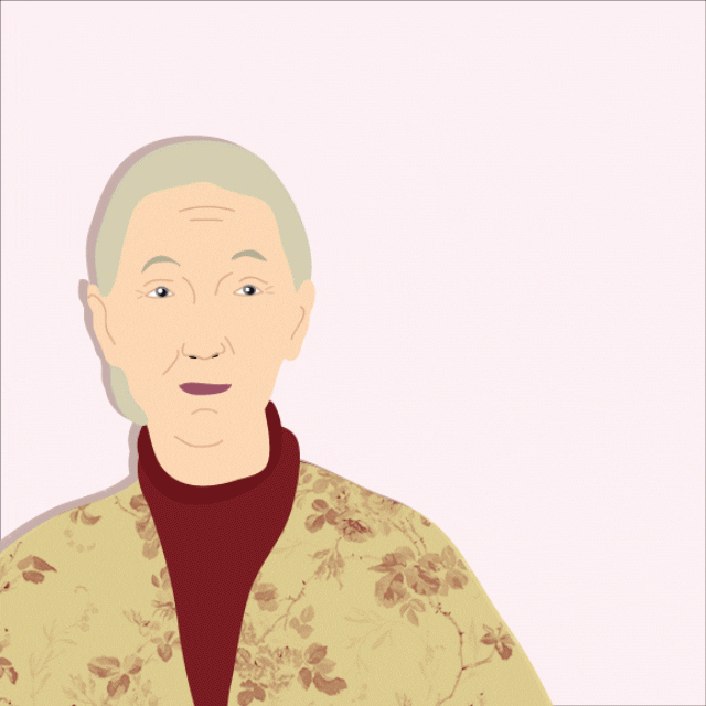 Monkey Kissing Jane Goodal Animation GIF