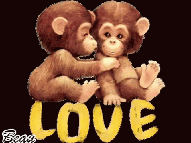 Monkey Kissing Love Animation GIF 