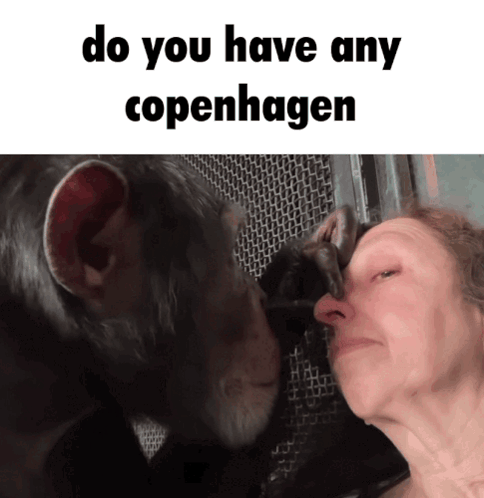 Monkey Kissing Woman's Nose Saying Do You Have Any Copenhagen GIF
