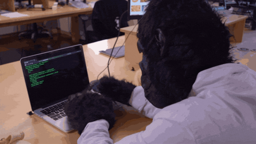 Monkey Laptop Coding GIF