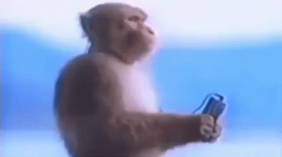 Monkey Listening To Music GIF