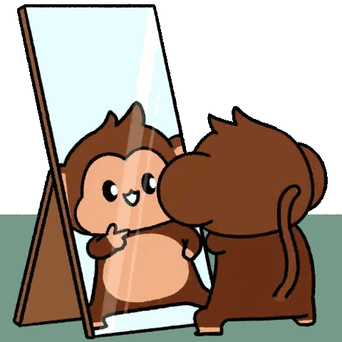Monkey Looking at Itself in Mirror