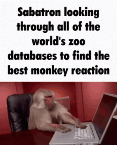 Monkey Looking At Laptop Screen GIF