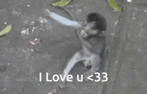 Monkey Loves Hugs I Love You Funny GIF