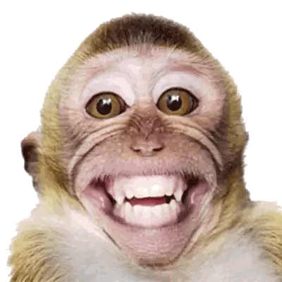 Monkey Making Funny Face
