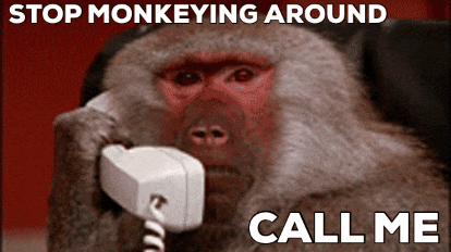 Monkey Meme Stop Monkeying Call Me GIF