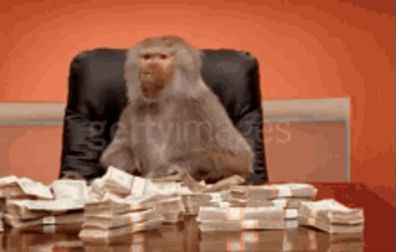 Monkey Office Throwing Air Money Bags GIF