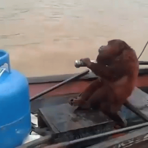 Monkey on Boat Beside Blue Propane Tank
