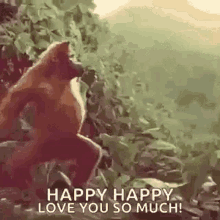 Monkey On Rock Saying Happy Happy Love You So Much GIF