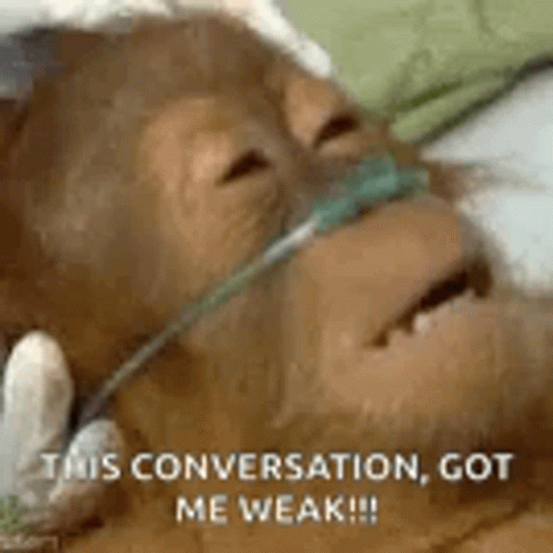 Monkey Oxygen Mask This Conversation Got Me Weak GIF