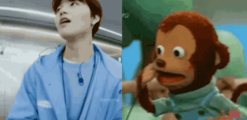 Monkey Pedro Doyoung Split Screen Meme GIF