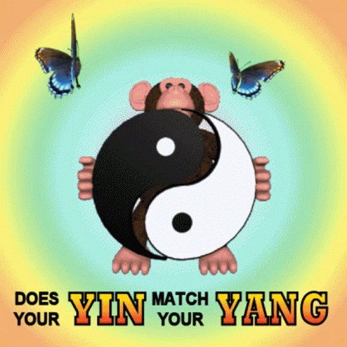 Monkey Playing Yin Yang GIF
