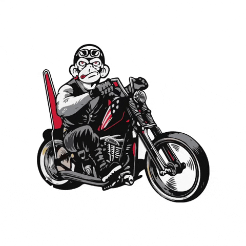 Monkey Riding Dirt Bike Graphic Design GIF