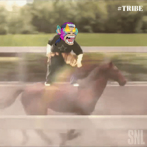 Monkey Riding Horse With SNL Logo GIF