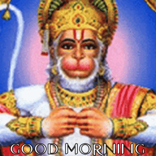 Monkey Saying Good Morning GIF