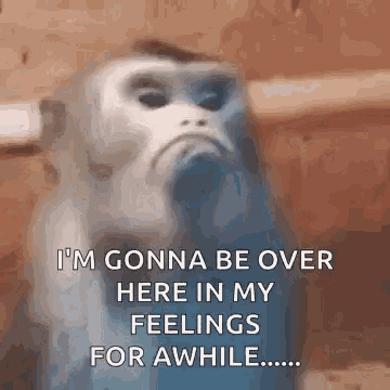 Monkey Saying I'm Gonna Be Over Here in My Feelings