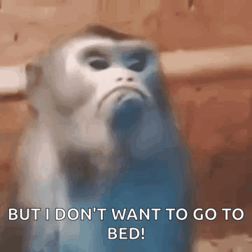 Monkey Says Don't Want to Go to Bed