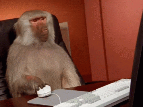 Monkey Sitting At Desk With Computer Mouse GIF