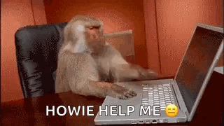 Monkey Sitting at Laptop