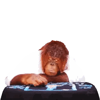 Monkey Sitting at Table With So