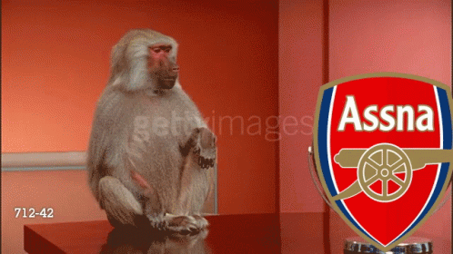 Monkey Sitting in Front of Arsenal Logo