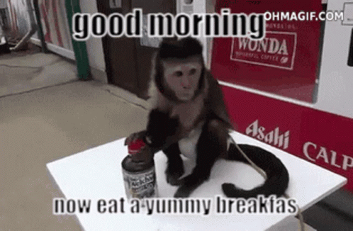 Monkey Sitting on Table Saying Good Morning Now Eat a Yummy Breakfast