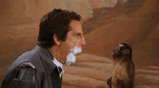 Monkey Slapping Ben Stiller GIF