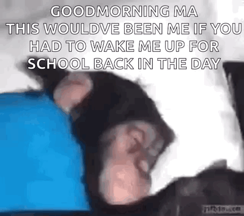 Monkey Sleeping GIF